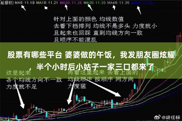 股票有哪些平台 婆婆做的午饭，我发朋友圈炫耀，半个小时后小姑子一家三口都来了