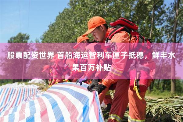 股票配资世界 首船海运智利车厘子抵穗，鲜丰水果百万补贴