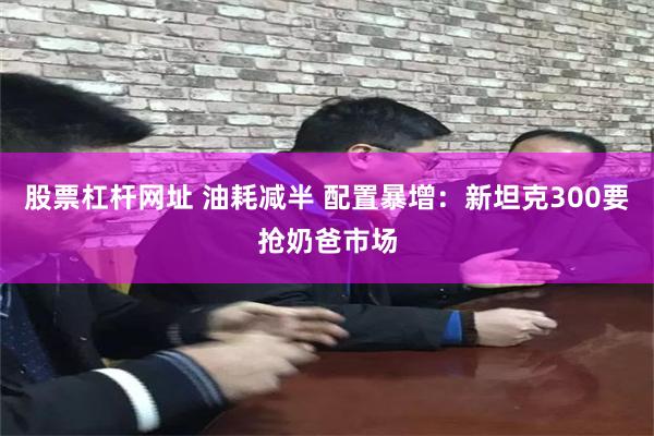 股票杠杆网址 油耗减半 配置暴增：新坦克300要抢奶爸市场