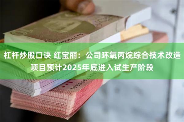 杠杆炒股口诀 红宝丽：公司环氧丙烷综合技术改造项目预计2025年底进入试生产阶段