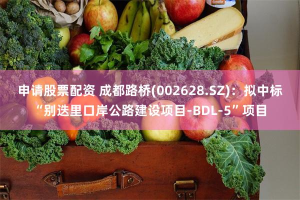 申请股票配资 成都路桥(002628.SZ)：拟中标“别迭里口岸公路建设项目-BDL-5”项目