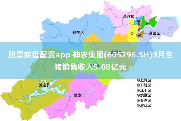 股票实盘配资app 神农集团(605296.SH)3月生猪销售收入5.08亿元