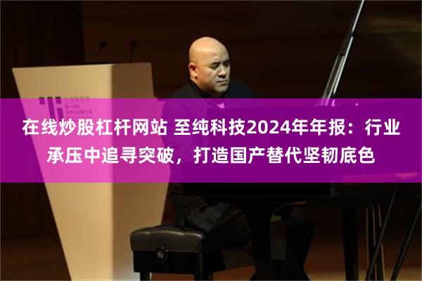 在线炒股杠杆网站 至纯科技2024年年报：行业承压中追寻突破，打造国产替代坚韧底色