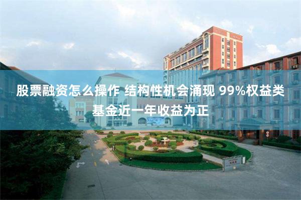 股票融资怎么操作 结构性机会涌现 99%权益类基金近一年收益为正