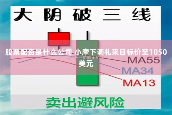 股票配资是什么公司 小摩下调礼来目标价至1050美元